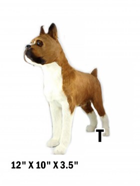 Boxer